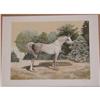 Image 1 : Mel Hunter, Arabian, Signed Lithograph #1136715