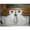 Staffordshire Dogs Pair #1157736