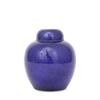 Image 1 : Old Chinese Cobalt Blue Porcelain Tea Caddy  #1158075