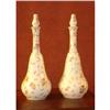 Image 1 : Elegant Pair of Porcelain Bottles #1174531