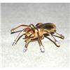 Image 1 : Rare 1945 Signed Coro Rhinestone Spider Brooch #1174569