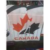 Image 1 : 30x50 inch NHL BANNER - TEAM CANADA