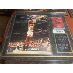 Mounted Plaque with card of Scottie Pippen