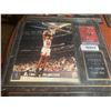 Image 1 : Mounted Plaque with card of Scottie Pippen