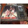 Image 1 : Mounted Plaque with card of Dennis Rodman