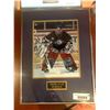 Image 1 : Framed and Signed with certificate - Dominik Hasek