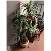 Image 1 : Artificial 5 ft potted plant