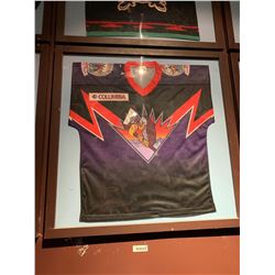 Large Framed Jersey - NAHL