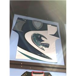 Large Framed Jersey - NAHLICERAYS