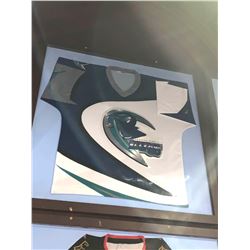 Large Framed Jersey - NAHLICERAYS