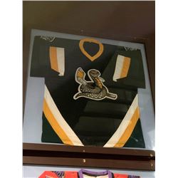 Large Framed Jersey - WPHL