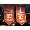 Image 1 : Lot of 38 ceiling mounted sports team pendants - buyer must remove.E-ceiling mounted- buyer must bri