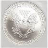 Image 3 : 2007 W American Silver Eagle Early Releases NGC