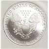 Image 3 : 2007 P American Silver Eagle Early Releases NGC