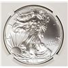 Image 2 : 2011 S American Silver Eagel NGC MS69 Early