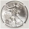 Image 2 : 2011 Silver Eagle Early Releases NGC MS69