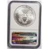 Image 4 : 1996 American Silver Eagle NGC MS69