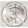 Image 2 : 2012 American Silver Eagle Early Releases NGC