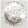 Image 3 : 2005 American Silver Eagle NGC MS69