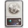 Image 4 : 1999 American Silver Eagle NGC MS69