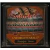 Image 1 : Unforgettaball! "Sportsman's Park" Nostalgia Series Collectable Baseball