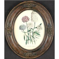 Floral, lithograph by Day & Haghe  #1129661