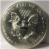 Image 2 : 2013 BU SILVER EAGLE