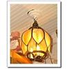 Image 1 : Ceiling Light Glass Tulip Flower Pendant  #1186135