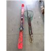 Image 1 : Skis, 3 Fishing Rods & Salmon Net
