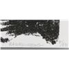 Image 4 : Robert Rauschenberg USA Signed Silkscreen 8/80