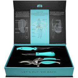 Toadfish Coastal Kitchen Set