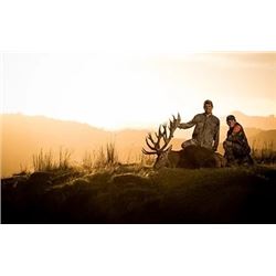 Red Stag Hunt New Zealand