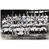 Image 3 : 1955 Brooklyn Dodgers Signed Display PSA/DNA 