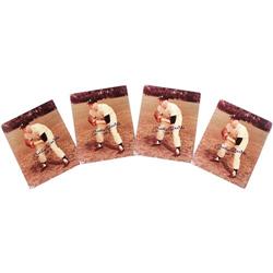 Mickey Mantle "No. 7" PSA Gem Mint 10 Photo 