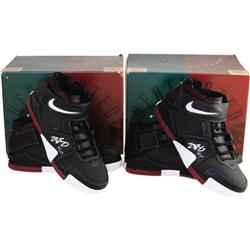 LeBron James Signed UDA Sneakers Lot of 2 