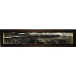 Massive 1926 World Series Panoramic Photograph 
