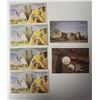 Image 3 : CANADA PROOF LIKE SETS