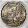 Image 1 : 1920 WALKING LIBERTY HALF DOLLAR