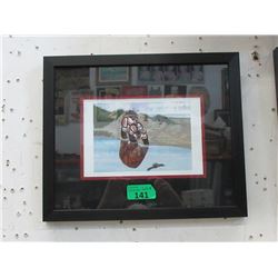 Richard Shorty Framed Print - Reflection