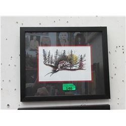 Richard Shorty Framed Print - Porcupine