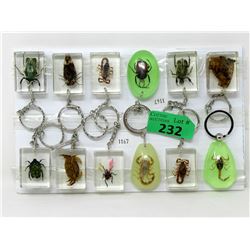 12 New Insect in Resin Key Chains