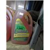 Image 1 : 6 x 4 L Jugs of Cienna Pine Cleaner