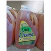 Image 1 : 6 x 4 L Jugs of Cienna Pine Cleaner