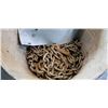 Image 3 : PAIL OF CHAIN