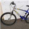 Image 3 : BLUE AND SILVER CARRERA BIKE