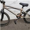 Image 2 : CHROME NO BRAND BMX BIKE
