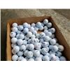 Image 2 : Box of experienced golf balls