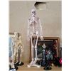 Image 1 : 30 INCH ANATOMICAL SKELETON