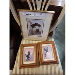 3 FRAMED EAGLE PRINTS