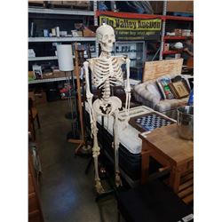 MEDICAL ANATOMICAL SKELETON ON CAST IRON ROLLING STAND